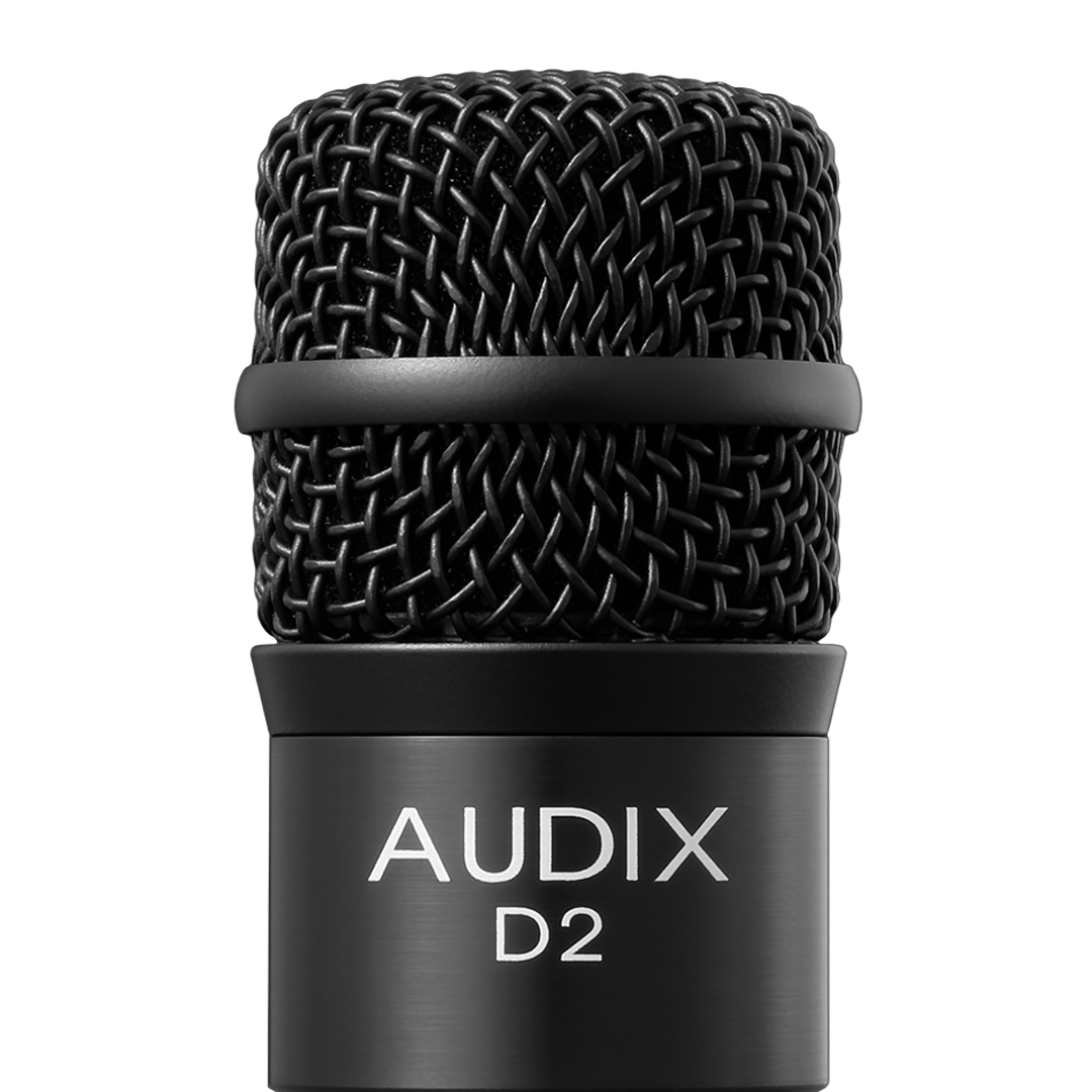 Audix D2