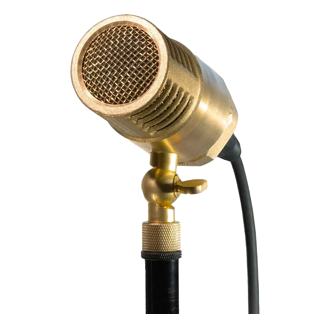 Ear Trumpet Labs Wanda