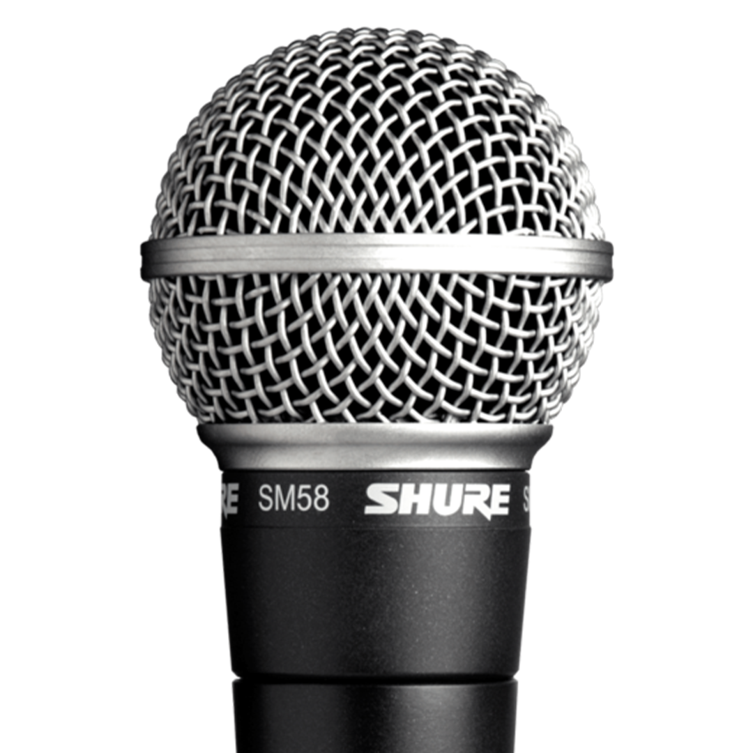 Shure SM58 - Switched